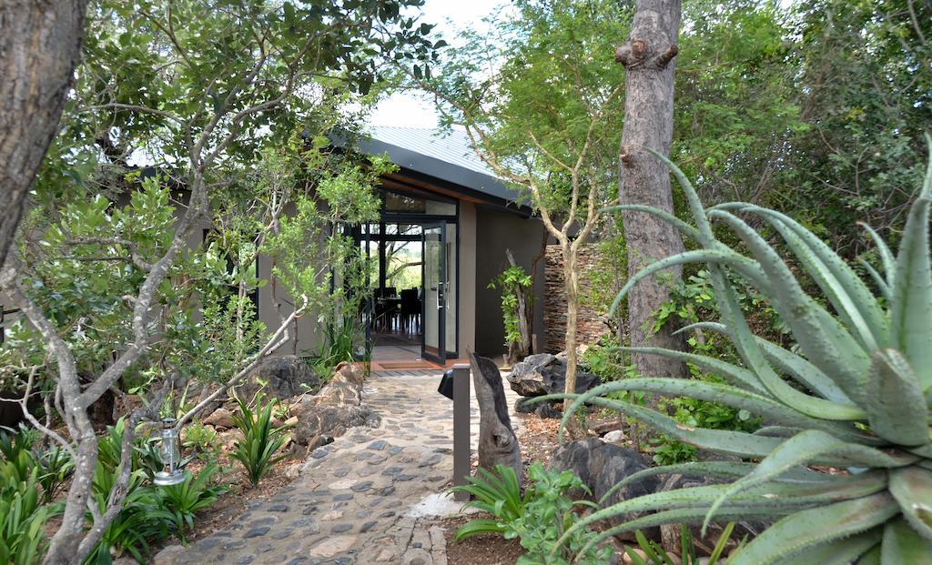 Greenfire Game Lodge Balule Game Reserve Exterior foto