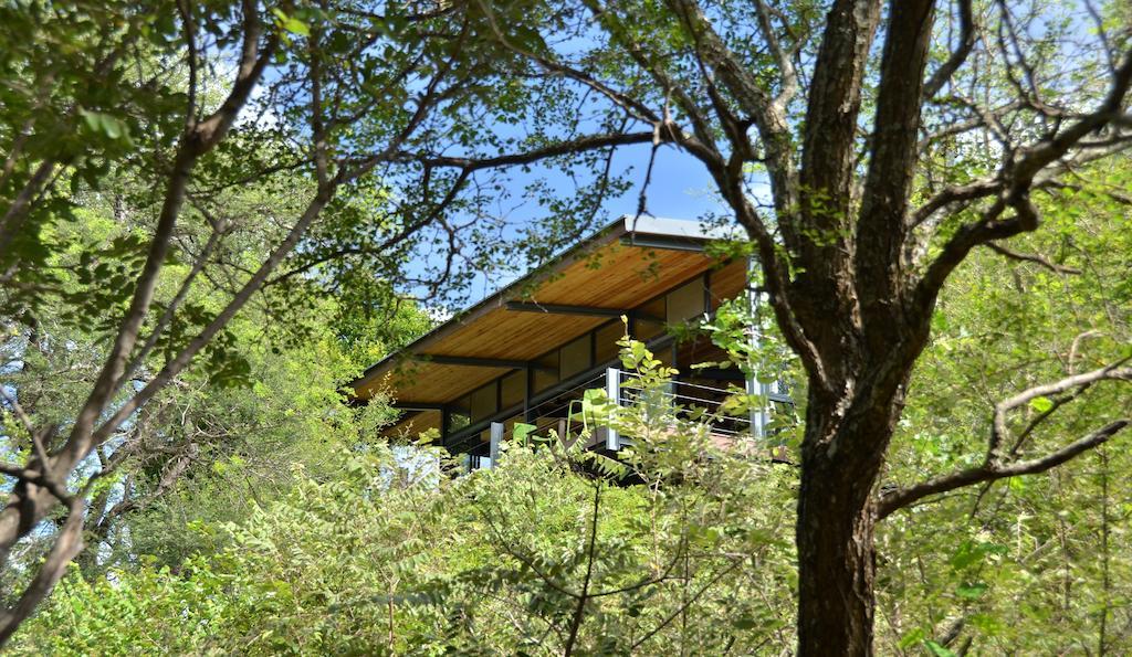 Greenfire Game Lodge Balule Game Reserve Exterior foto