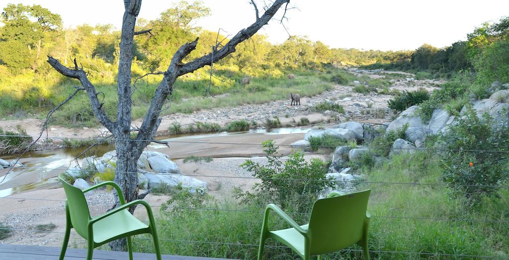 Greenfire Game Lodge Balule Game Reserve Exterior foto