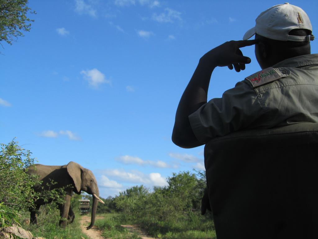 Greenfire Game Lodge Balule Game Reserve Exterior foto